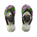 Search for pug shoes Dog