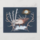 Search for bull elk postcards Wapiti