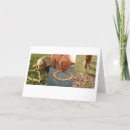 Search for dog easter cards Cats