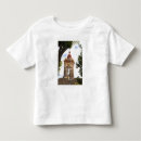 Search for guanajuato tshirts Colourful