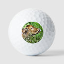 Search for cow golf balls Farm animals