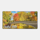 Search for central park mousepads Manhattan