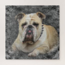 Search for dog breeds puzzles Funny