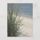 Search for lai postcards Photography