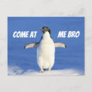 Search for penguin image postcards Penguins
