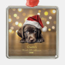 Search for black lab christmas decor Cute