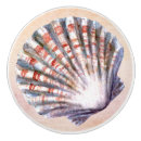 Search for seashell knobs and pulls Modern