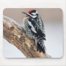 Search for woodpecker mousepads Avian