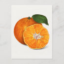 Search for tangerine postcards Vintage