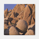 Search for mojave desert magnets Scenic
