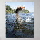 Search for pike fishing posters Outdoors