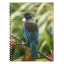 Search for tui Wildlife