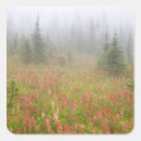 Search for conifer stickers Tree