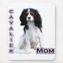 Search for spaniel electronics Cavie