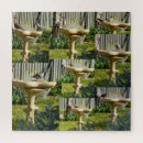 Search for australian birds puzzles Photography