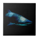 Search for shark tiles Ocean