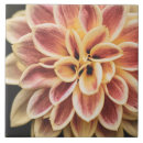 Search for pretty tiles Petals