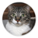 Search for cat knobs and pulls Animals
