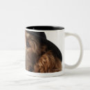 Search for dressed up dog mugs Humour