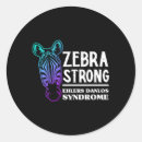 Search for eds stickers Invisible illness