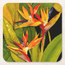 Search for paradise coasters Tropical