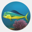 Search for underwater gift wrap Deep sea