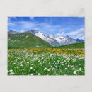 Search for spring mountains postcards Landscape