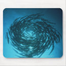 Search for barracuda electronics Underwater