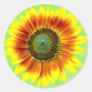 Search for sunflower round stickers Garden