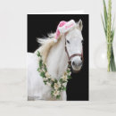 Search for racehorse cards Horse racing