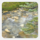 Search for yoho stickers Canada