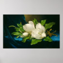 Search for magnolia art Martin johnson heade