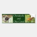 Search for dragonfly bumper stickers Animals