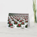 Search for arlington cards Cemetery