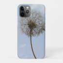 Search for dandilion Weed