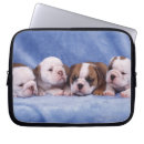 Search for down electronics Dog
