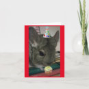 Search for chinchilla cards Rodent