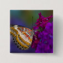 Search for purple butterfly badges Flower