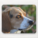 Search for hound puppy mousepads Hunting