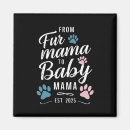 Search for fur magnets Cat