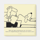 Search for scratching magnets Cartoon