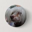 Search for crested badges Chinese