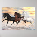Search for black and white horse art Stallion