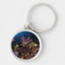 Search for scuba diving rounded key rings Fish