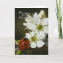Search for ladybug mothers day cards Nature