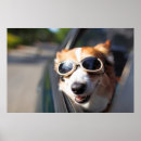 Search for cute corgi art Puppy