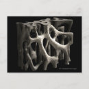 Search for bones postcards Illustration