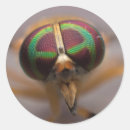 Search for macro labels Nature