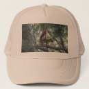 Search for squirrel hats Nature