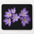 Search for crocuses electronics Flower